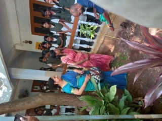 Green Kalam